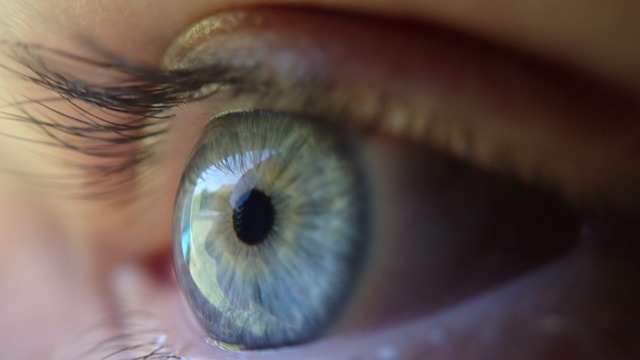 Blue-eyed people tend to require more alcohol to get drunk