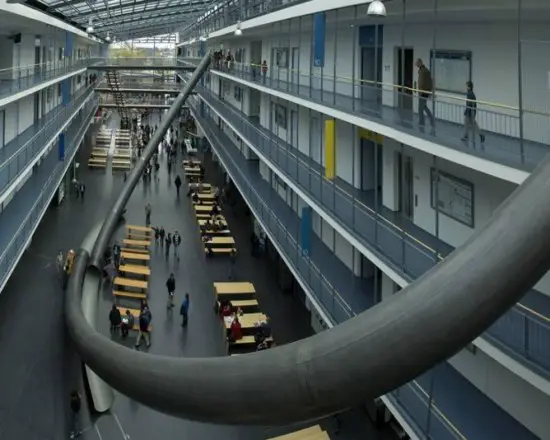 A University Installed Giant Slides Instead of Stairs 3 inflexwetrust