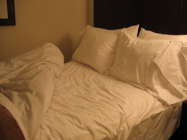 Scientists believe that untidy and unmade beds are healthier for us than neat and made beds. 2 Liz Lawley/wikipedia