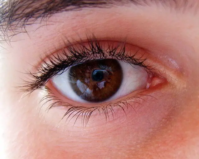 Pupil dilation and attraction