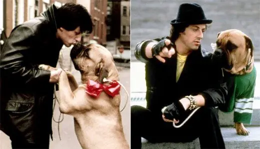 Before Sylvester Stallone sold the script for Rocky