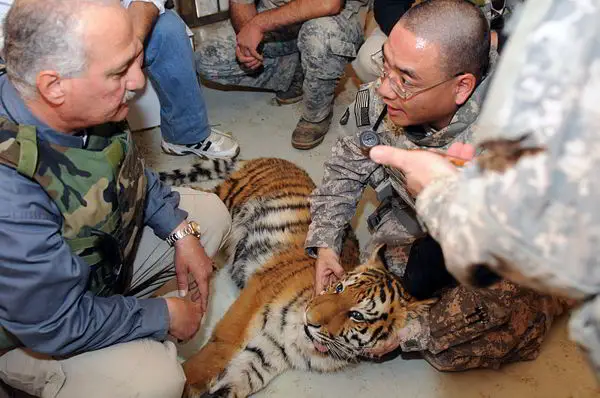 Lawrence Anthony, Elephant Whisperer 3 The U.S. Army/wikipedia