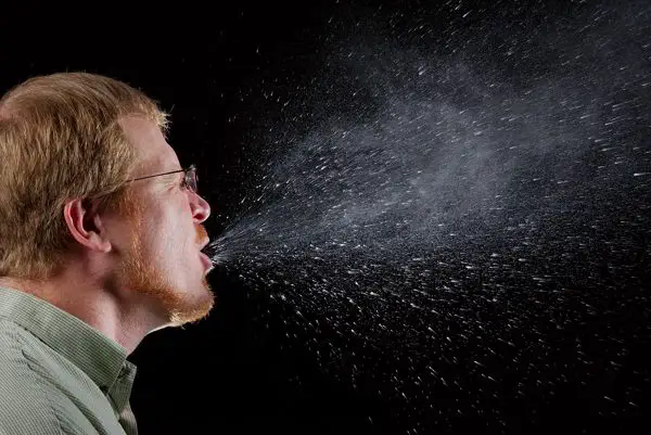 10 Astonishing Facts about Humans Which Make us Special 11 wikipedia