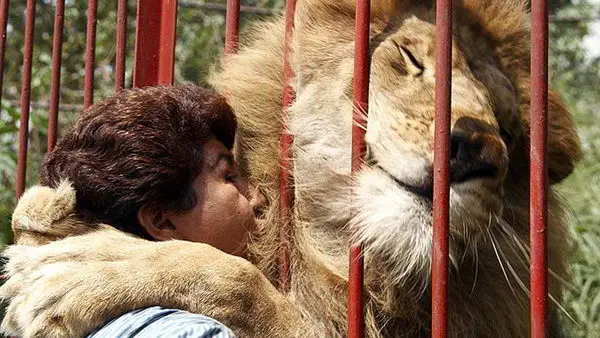 7 best examples of unconditional love between human and animals 2 Youtube