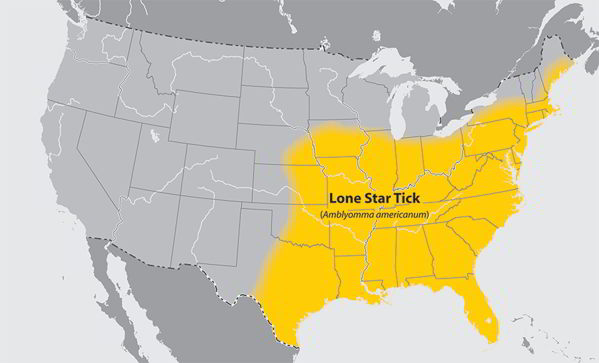 A Bite From This Tiny Tick Can Turn You Into A Vegetarian 3 CDC/Wikimedia Commons
