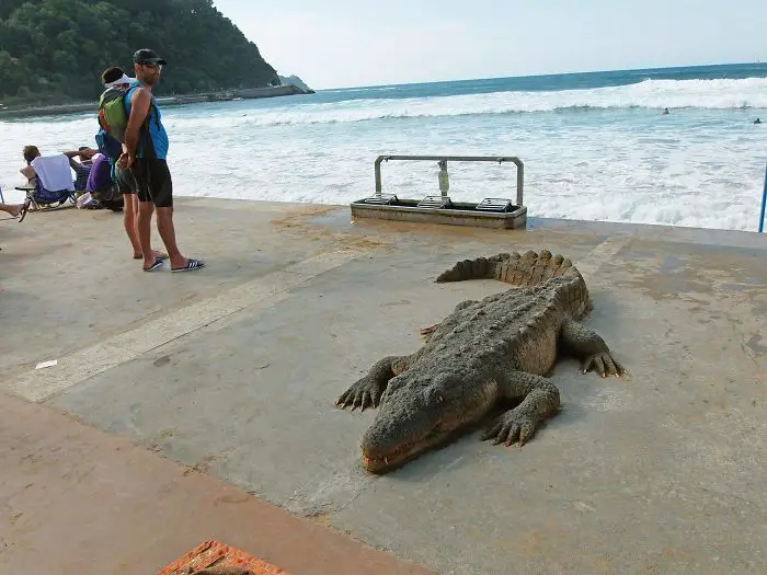 Artist creates detailed sand sculptures